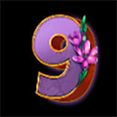 Hawaiian Night Symbol 9