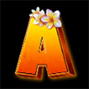 Hawaiian Night Symbol A
