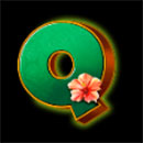 Hawaiian Night Symbol Q